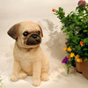 Cute Sitting Pug Figurine